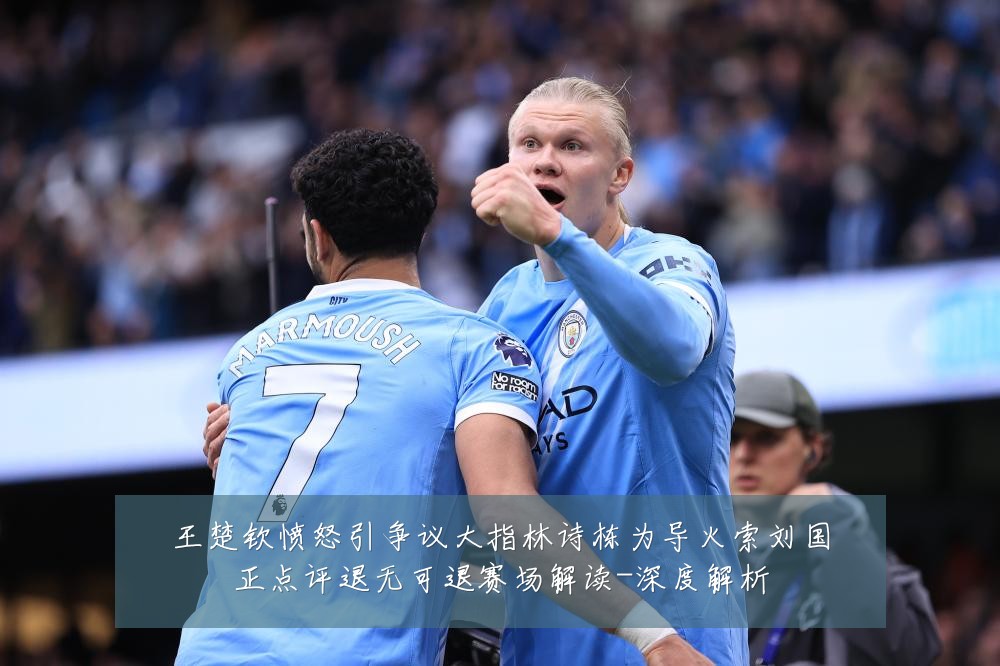 王楚钦愤怒引争议大指林诗栋为导火索刘国正点评退无可退赛场解读-深度解析